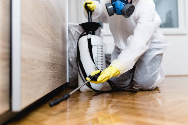 Best Pest Control Cost  in Bernice, LA