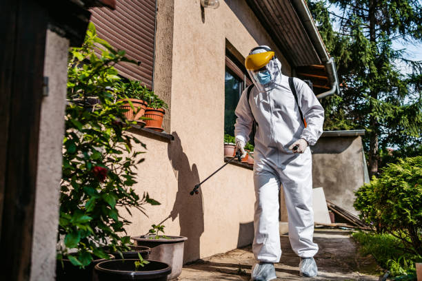 Best Affordable Pest Control Services  in Bernice, LA