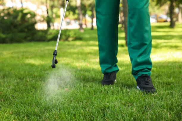 Best Local Pest Control Services  in Bernice, LA