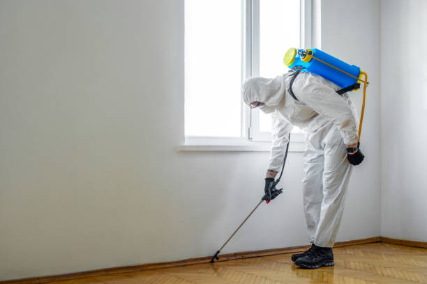 Best Pest Prevention Services  in Bernice, LA