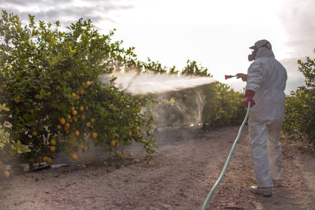 Professional Pest Control in Bernice, LA