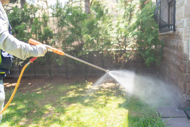 Best Spider Control Near Me  in Bernice, LA