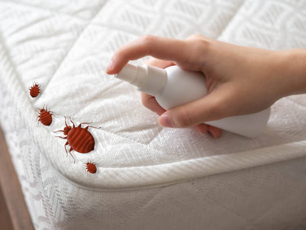 Best Cockroach Control Services  in Bernice, LA